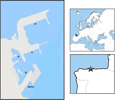 “If You Know the Enemy and Know Yourself”: Addressing the Problem of Biological Invasions in Ports Through a New NIS Invasion Threat Score, Routine Monitoring, and Preventive Action Plans